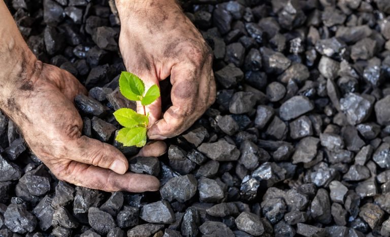 Sustainable Mining Practices
